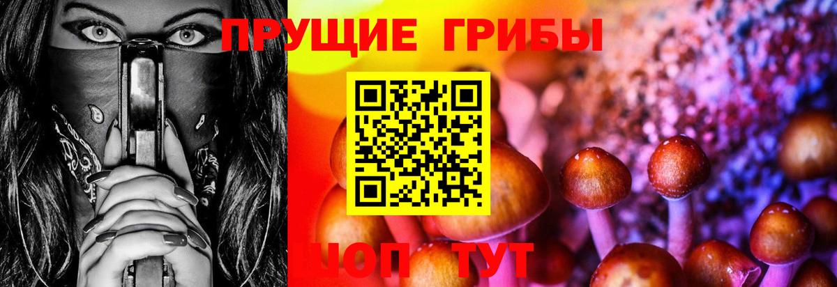 Псилоцибиновые грибы Psilocybe Лосино-Петровский